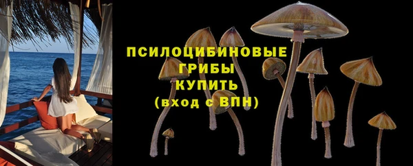 MESCALINE Магас