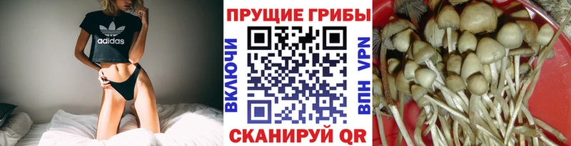 площадка Telegram  Мещовск  Галлюциногенные грибы GOLDEN TEACHER  хочу наркоту 