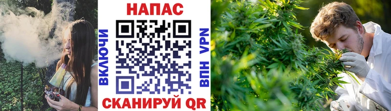 Бошки марихуана THC 21%  Мещовск 